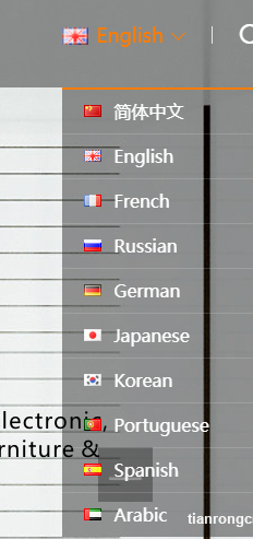 更新一个隐藏标签